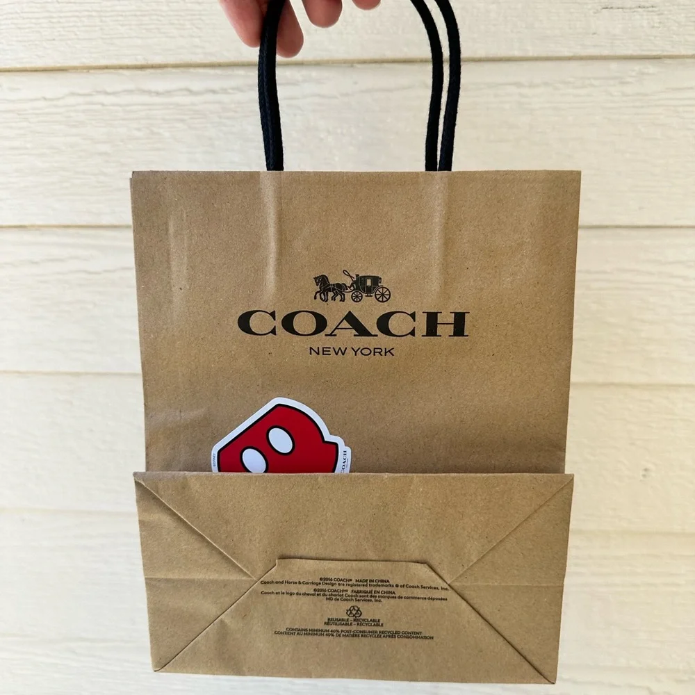 Coach x Disney collab small shopping bag